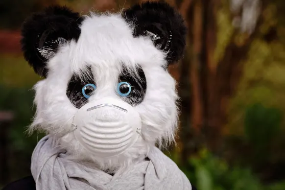 ビットリールズ カジノ サポート